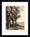 The Edge of the Woods (La Liseuse: La Lecture sous les Arbres) by Alphonse Legros