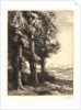 The Edge of the Woods (La Liseuse: La Lecture sous les Arbres) by Alphonse Legros