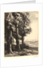 The Edge of the Woods (La Liseuse: La Lecture sous les Arbres) by Alphonse Legros