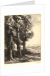 The Edge of the Woods (La Liseuse: La Lecture sous les Arbres) by Alphonse Legros