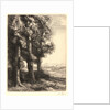The Edge of the Woods (La Liseuse: La Lecture sous les Arbres) by Alphonse Legros