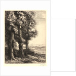 The Edge of the Woods (La Liseuse: La Lecture sous les Arbres) by Alphonse Legros