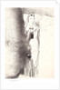 And the angel took the censer, 1899 by Odilon Redon