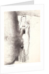 And the angel took the censer, 1899 by Odilon Redon