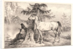 Cossack and Horse beside a Tree, 19th century by Horace Vernet