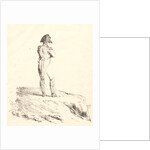 Napoléon sur un cap de l'i^le d'Elbe, 1817 by Horace Vernet