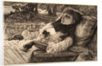 Soiré d'Été, 1881 by James Tissot
