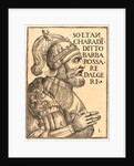 Soltan Charadin, Barbarossa Re Dalgeri, 1535 by Luca Antonio de Giunta