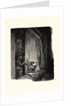 Image from La Bièvre, Les Gobelins, Saint-Séverin, ca. 1901 by Auguste Louis Lepère