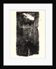 Image from La Bièvre, Les Gobelins, Saint-Séverin, ca. 1901 by Auguste Louis Lepère