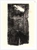 Image from La Bièvre, Les Gobelins, Saint-Séverin, ca. 1901 by Auguste Louis Lepère