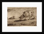 Sheep Grazing (Moutons Paissant), ca. 1849-1850 by Jean-François Millet