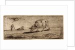 Sheep Grazing (Moutons Paissant), ca. 1849-1850 by Jean-François Millet