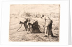 The Gleaners (Les Glaneuses), ca. 1855-1856 by Jean-François Millet