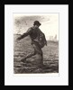 The Sower (Le Semeur), 1851- 1879 by Jean-François Millet