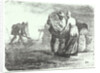 Potato Gatherers, 19th century (published 1920s) by Jean-François Millet