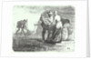 Potato Gatherers, 19th century (published 1920s) by Jean-François Millet