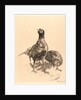 Pheasants, Rooster, and Hen (Faisons, Coq, et Poule), 1898 by Félix Bracquemond