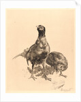 Pheasants, Rooster, and Hen (Faisons, Coq, et Poule), 1898 by Félix Bracquemond