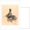 Pheasants, Rooster, and Hen (Faisons, Coq, et Poule), 1898 by Félix Bracquemond