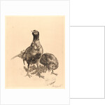 Pheasants, Rooster, and Hen (Faisons, Coq, et Poule), 1898 by Félix Bracquemond