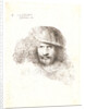 Head of a Man Wearing a Bonnet with a Large Plume (with Flat Cap and Feather), ca. 1648-1650 by Giovanni Benedetto Castiglione