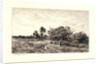 Apple Trees at Auvers (Pommiers à Auvers), 1877 by Charles François Daubigny