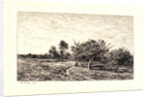 Apple Trees at Auvers (Pommiers à Auvers), 1877 by Charles François Daubigny
