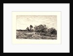 Apple Trees at Auvers (Pommiers à Auvers), 1877 by Charles François Daubigny