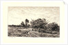 Apple Trees at Auvers (Pommiers à Auvers), 1877 by Charles François Daubigny
