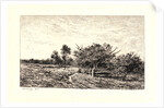 Apple Trees at Auvers (Pommiers à Auvers), 1877 by Charles François Daubigny