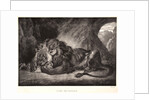 Lion of the Atlas Mountains (Lion d'Atlas), 1829 by Eugène Delacroix