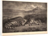 Tigre Royal, 1829 by Eugène Delacroix
