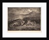 Tigre Royal, 1829 by Eugène Delacroix