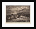 Tigre Royal, 1829 by Eugène Delacroix