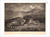 Tigre Royal, 1829 by Eugène Delacroix