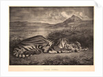 Tigre Royal, 1829 by Eugène Delacroix