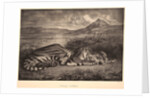 Tigre Royal, 1829 by Eugène Delacroix