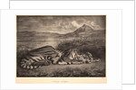 Tigre Royal, 1829 by Eugène Delacroix