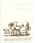 Jument qui donne a teter a son poulain, 1642-1645 by Stefano Della Bella