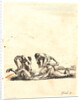 Deux equarisseurs ecorchent un cheval, 1642-1645 by Stefano Della Bella
