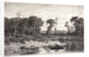 Le Bord de l'Etang, 19th century by Adolphe Appian