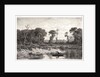 Le Bord de l'Etang, 19th century by Adolphe Appian