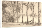 Aspens on the Bank of the Seine by Félix Bracquemond