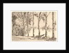 Aspens on the Bank of the Seine by Félix Bracquemond
