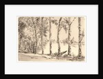Aspens on the Bank of the Seine by Félix Bracquemond