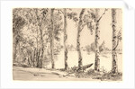 Aspens on the Bank of the Seine by Félix Bracquemond