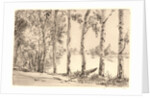 Aspens on the Bank of the Seine by Félix Bracquemond