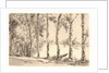 Aspens on the Bank of the Seine by Félix Bracquemond