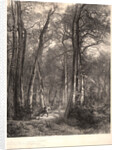In the Forest or Tall Timber (En Forêt ou Haute Futaie), ca. 1851 by Karl Bodmer
